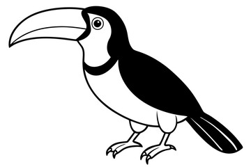 toucan line art silhouette vector illustration