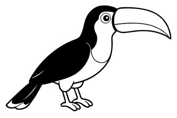 toucan line art silhouette vector illustration