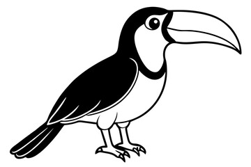 toucan line art silhouette vector illustration