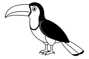 toucan line art silhouette vector illustration