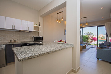 Interior design of luxury apartment living room and kitchen with patio