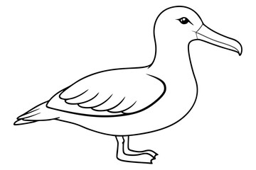 albatross line art silhouette vector illustration