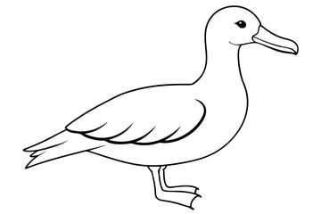 albatross line art silhouette vector illustration