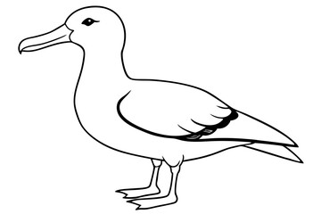 albatross line art silhouette vector illustration