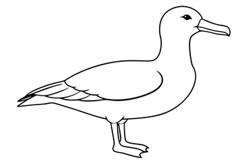 albatross line art silhouette vector illustration