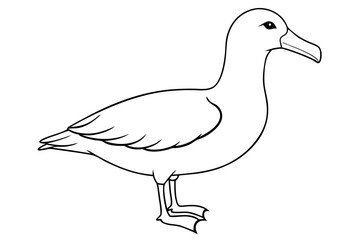 albatross line art silhouette vector illustration