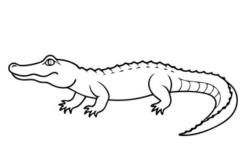 alligator line art silhouette vector illustration