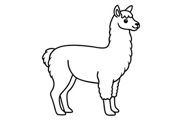 alpaca line art silhouette vector illustration