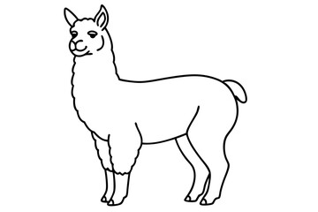 alpaca line art silhouette vector illustration