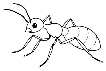 ant line art silhouette vector illustration