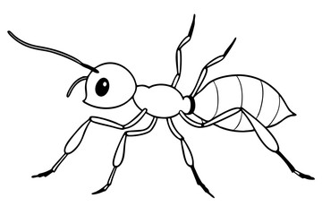 ant line art silhouette vector illustration