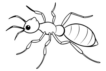 ant line art silhouette vector illustration