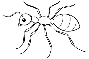 ant line art silhouette vector illustration