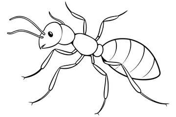 ant line art silhouette vector illustration