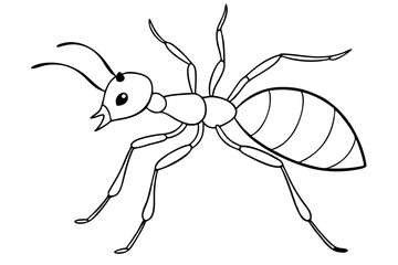 ant line art silhouette vector illustration