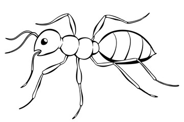 ant line art silhouette vector illustration