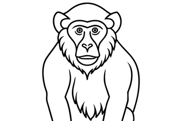 baboon line art silhouette vector illustration