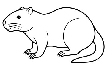 beaver line art silhouette vector illustration