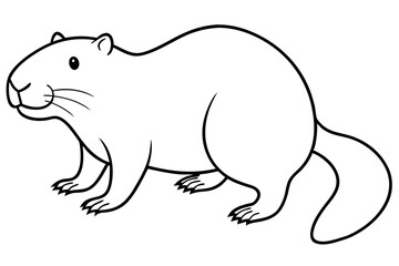 beaver line art silhouette vector illustration
