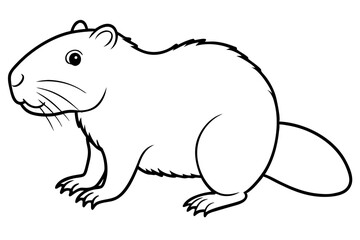 beaver line art silhouette vector illustration