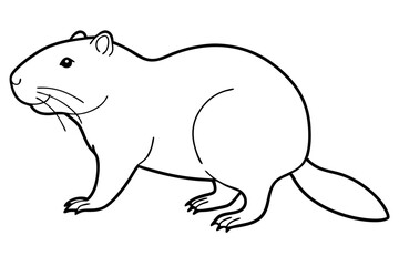 beaver line art silhouette vector illustration