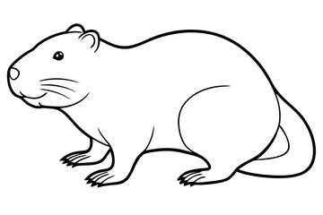 beaver line art silhouette vector illustration