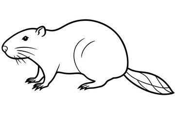 beaver line art silhouette vector illustration