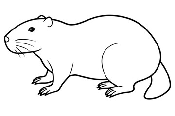 beaver line art silhouette vector illustration