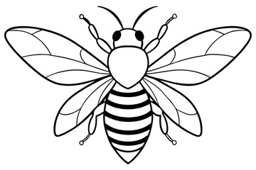 black and white butterfly