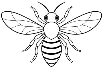 bee line art silhouette vector illustration