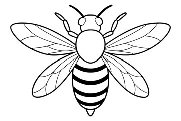 bee line art silhouette vector illustration