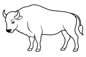bison line art silhouette vector illustration