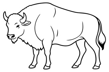 bison line art silhouette vector illustration