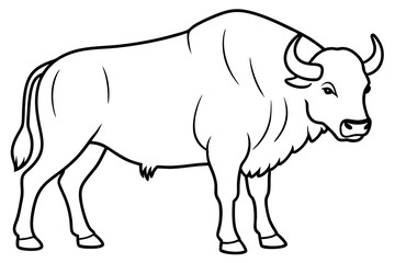 bison line art silhouette vector illustration