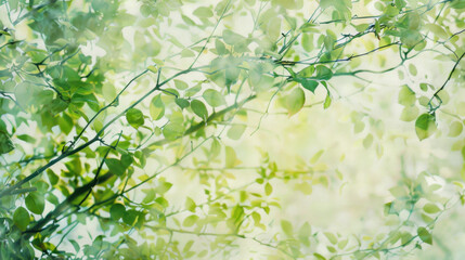 green plant background