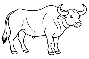 buffalo line art silhouette vector illustration