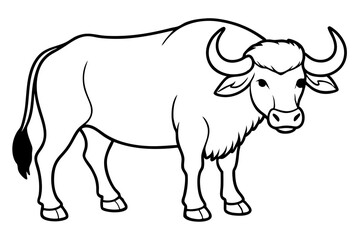 buffalo line art silhouette vector illustration