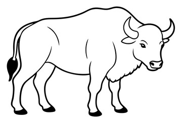 buffalo line art silhouette vector illustration