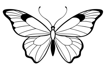 butterfly line art silhouette vector illustration