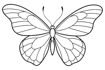 butterfly line art silhouette vector illustration