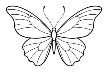butterfly line art silhouette vector illustration