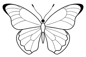 butterfly line art silhouette vector illustration