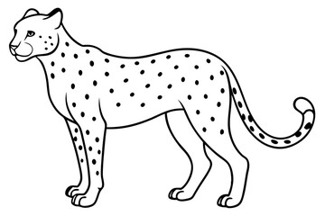 cheetah line art silhouette vector illustration