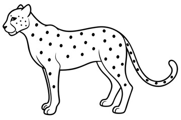 Fototapeta premium cheetah line art silhouette vector illustration