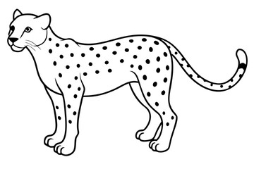 cheetah line art silhouette vector illustration