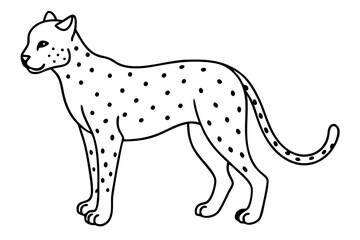 cheetah line art silhouette vector illustration