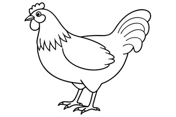 chicken line art silhouette vector illustration