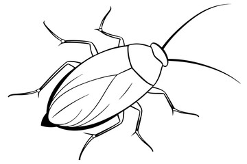 cockroach line art silhouette vector illustration