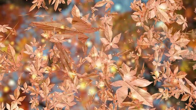 Autumn Leaves Transition Vol 02