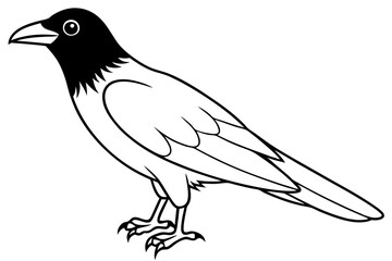 crow line art silhouette vector illustration
